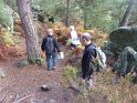 2012-10-11 17-26-44 Rando Fontainebleau-apres-midi FGn